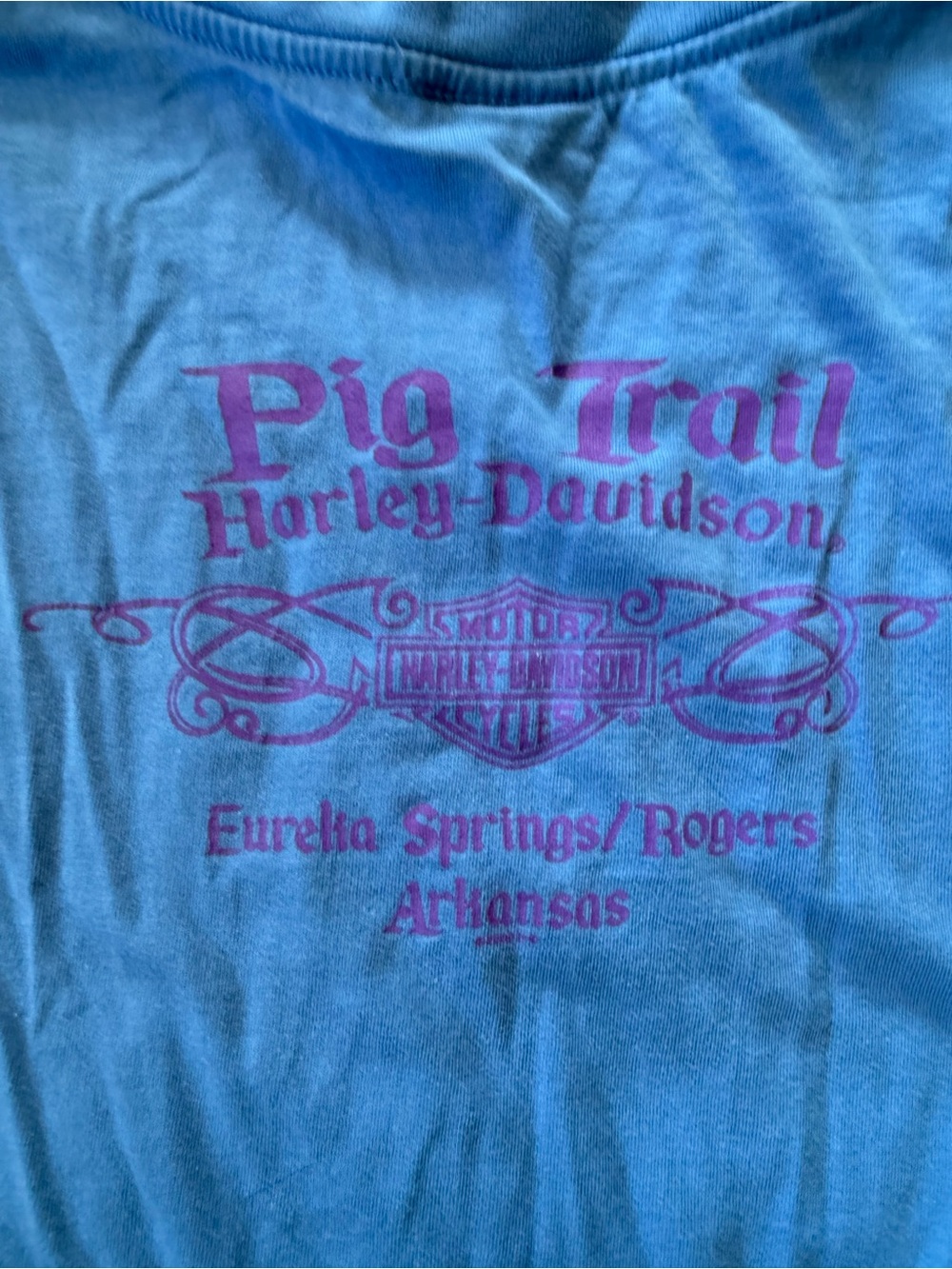 Harley Davidson Pig Trail Tank Top 2008 Large - Picture 6 of 6